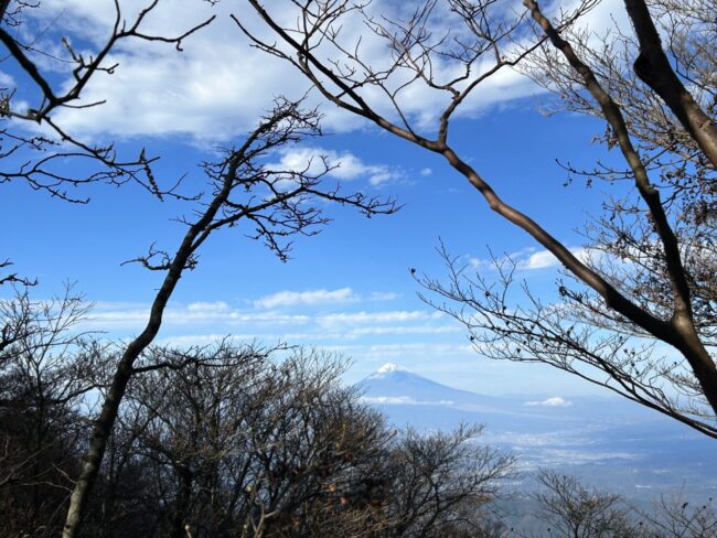 天城山と伊東アルプス